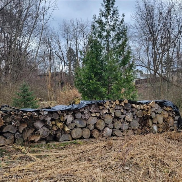 Shurmer Rd, Strongsville, OH 44136 - photo 9