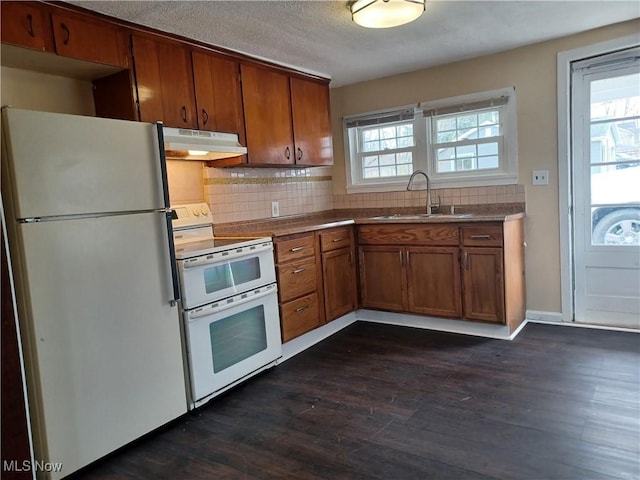 kitchen with under cabinet range hood, a sink, white appliances, and a wealth of natural light