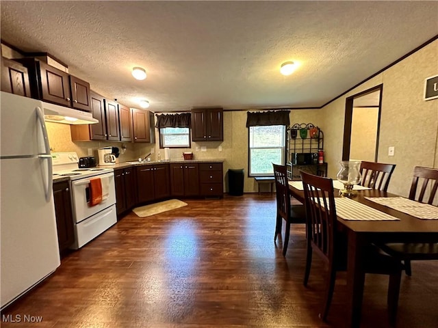 kitchen featuring light countertops, white appliances, a textured wall, under cabinet range hood, and dark brown cabinets