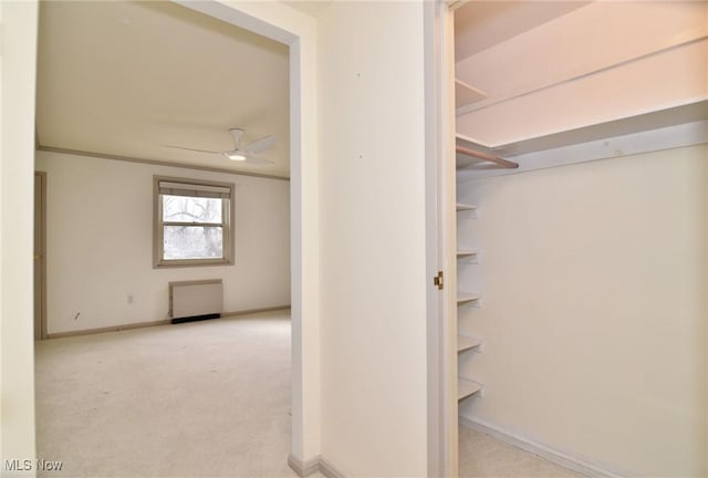closet featuring radiator