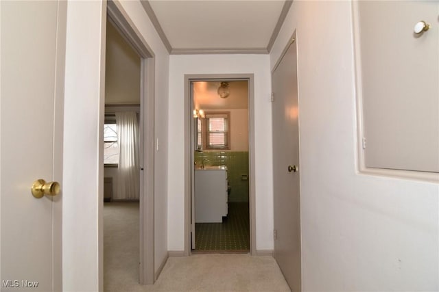 hallway featuring a sink, crown molding, and light colored carpet