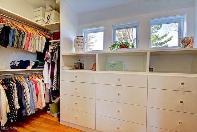 spacious closet featuring wood finished floors