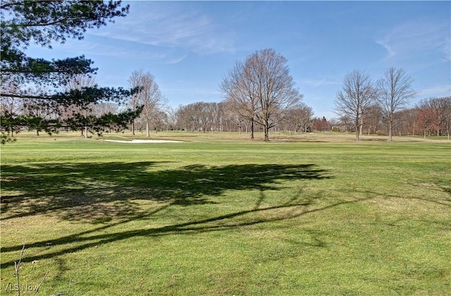 view of home's community featuring a yard
