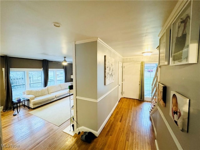 corridor featuring wood-type flooring, crown molding, and baseboards