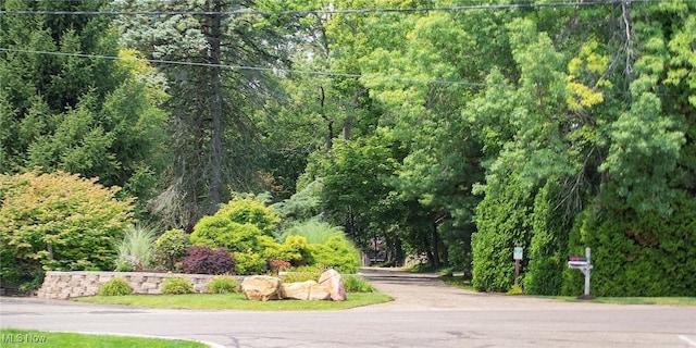 view of home's community with a wooded view