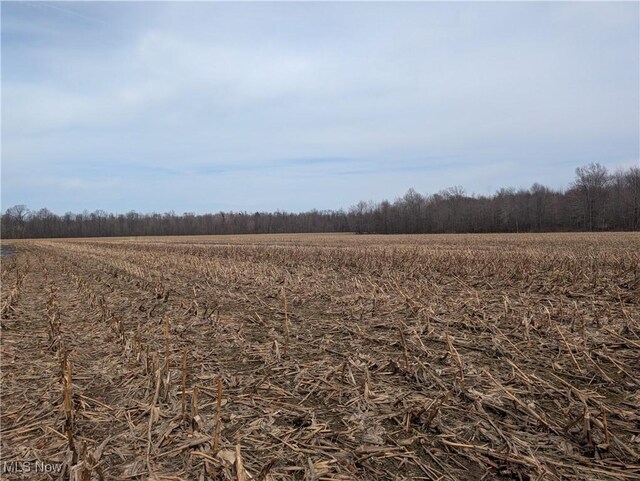 0 Creek Rd, Kingsville, OH 44048 - photo 6