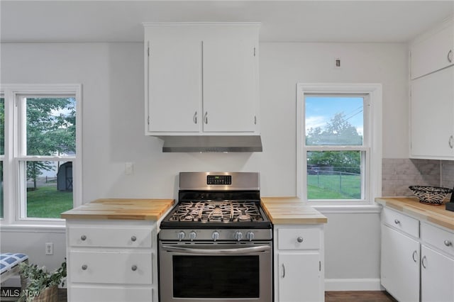 507 Beacon Rd, Newark, OH 43055 - kitchen with stainless steel range with gas cooktop, extractor fan, and healthy amount of natural light