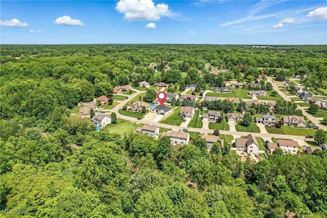260 Michaels Ct, Cortland, OH 44410 - aerial view of a forest