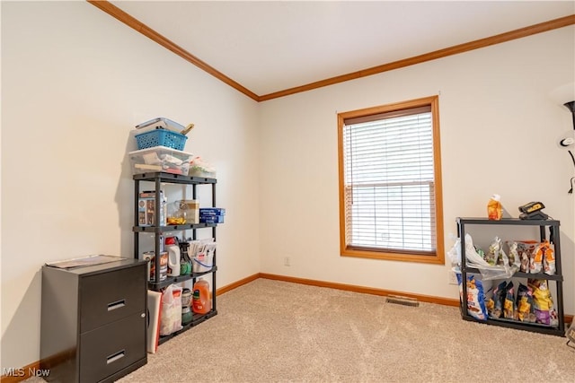 2409 Chelsea Dr SW, Canton, OH 44706 - interior space with carpet floors, crown molding, baseboards, and visible vents