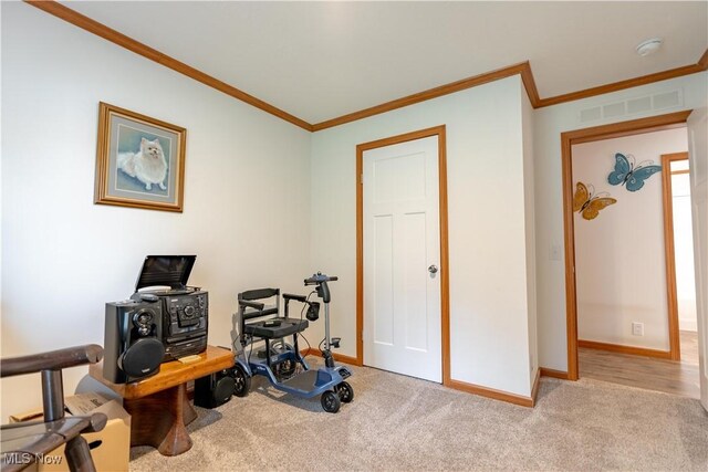 2409 Chelsea Dr SW, Canton, OH 44706 - workout room with baseboards, carpet flooring, visible vents, and crown molding