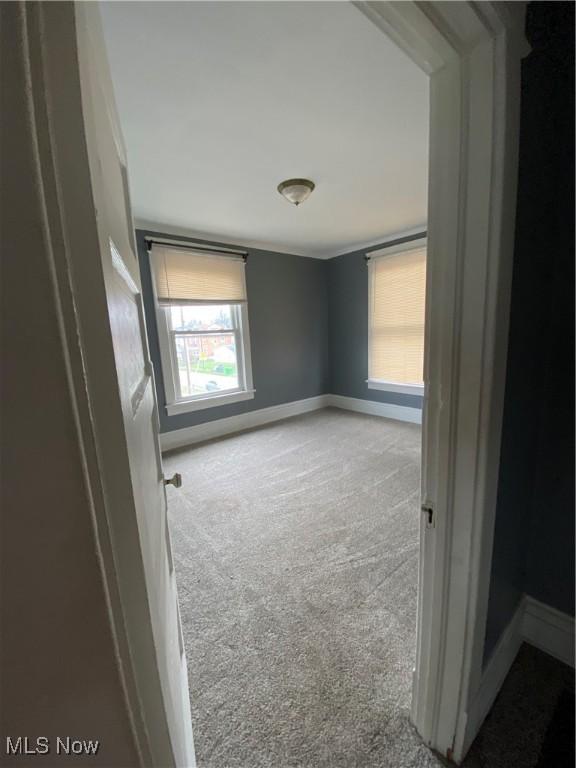 spare room with carpet and baseboards