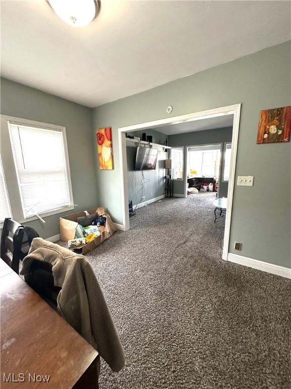 living area featuring baseboards, a wealth of natural light, and carpet