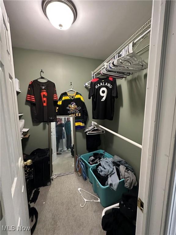walk in closet with carpet flooring
