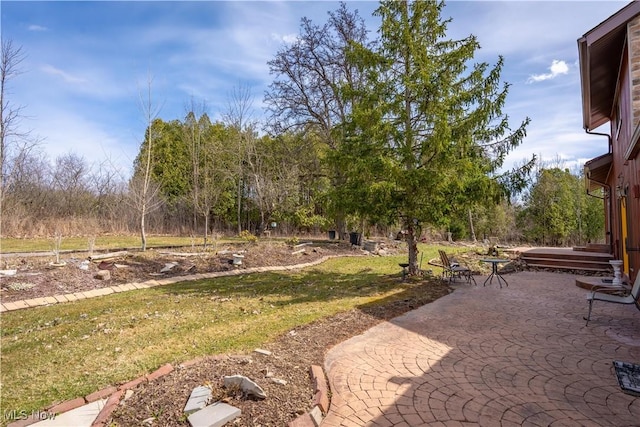3871 Foskett Rd, Medina, OH 44256 - exterior space with a patio