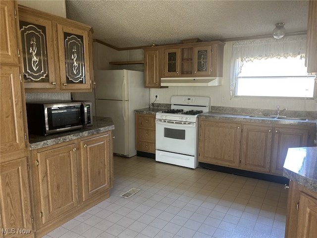 7280 US Route 322, Williamsfield, OH 44093 - kitchen featuring white appliances, under cabinet range hood, a textured ceiling, a sink, and glass insert cabinets
