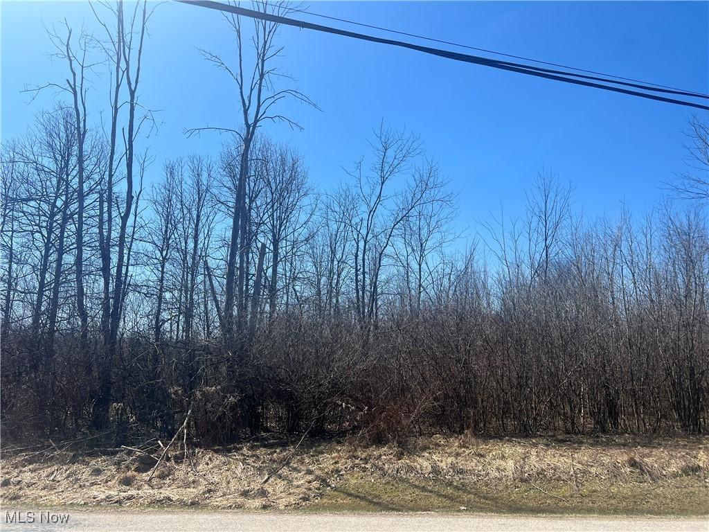 681 Rome Rock Creek Rd, Roaming Shores, OH 44084 - photo 1