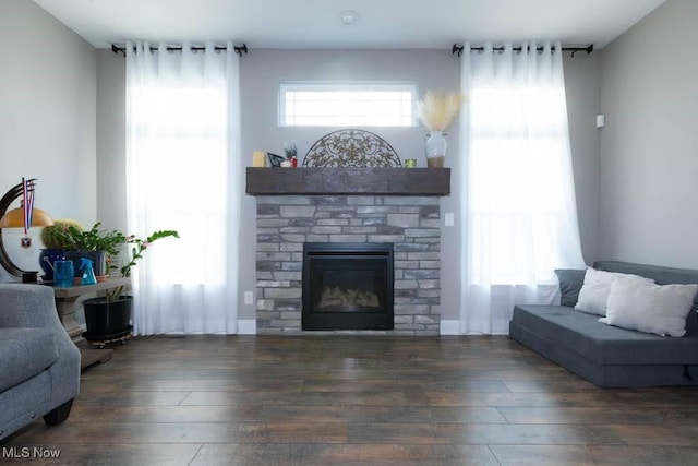 living area featuring wood finished floors and a stone fireplace