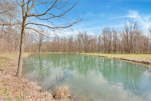 view of water feature featuring a forest view