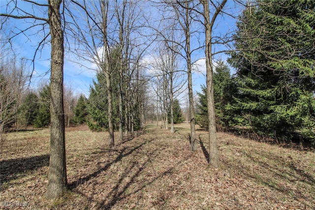 view of nature with a forest view