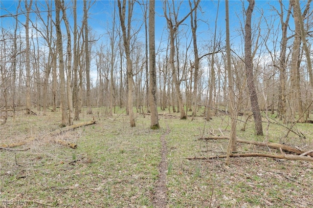view of local wilderness