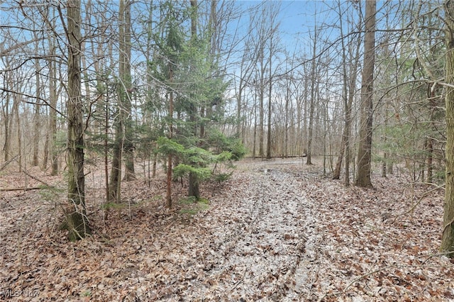 view of local wilderness featuring a wooded view
