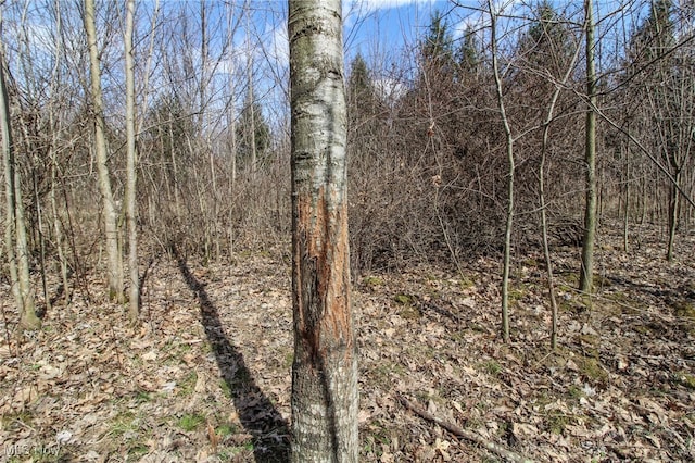 view of landscape with a view of trees