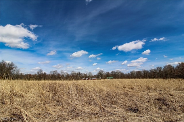 view of local wilderness featuring a rural view