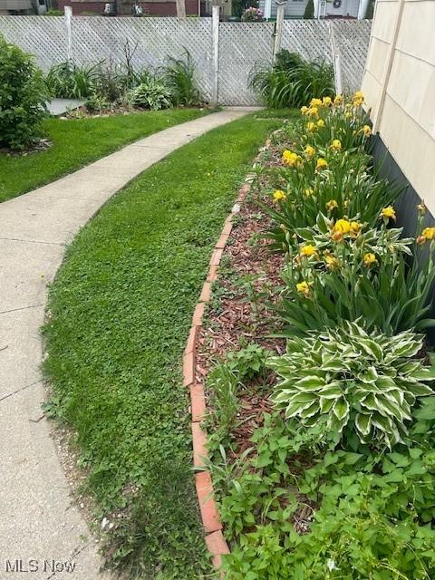 252 W Summit St, Alliance, OH 44601 - view of yard