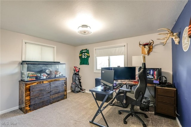 office space featuring baseboards and carpet flooring