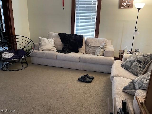 303 High St, Woodsfield, OH 43793 - photo 27