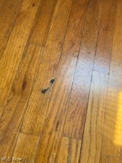 details with wood finished floors