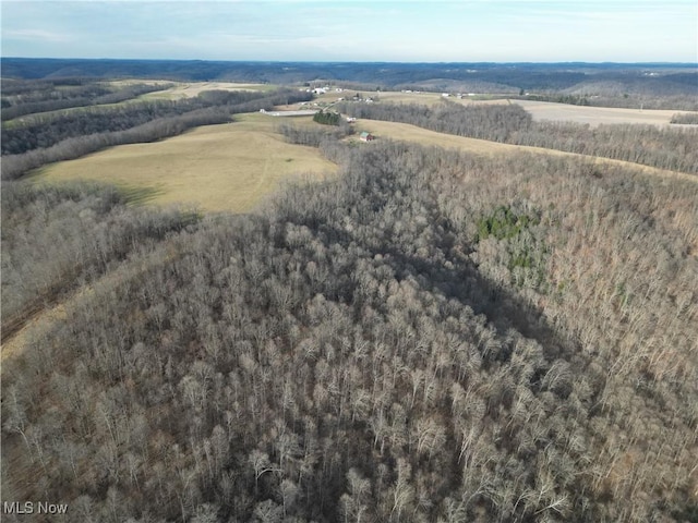 1964 County Road 58, Irondale, OH 43932 - photo 4