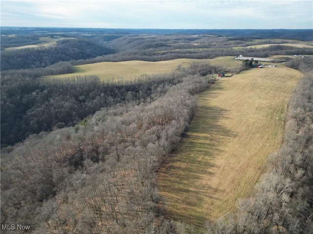 1964 County Road 58, Irondale, OH 43932 - photo 9