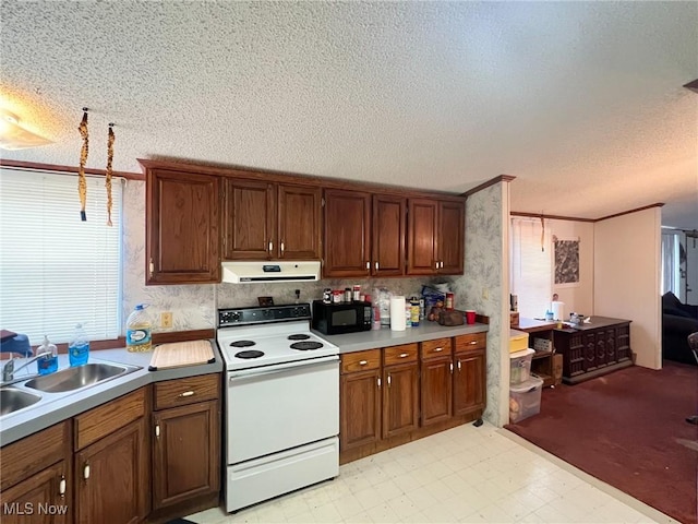 1964 County Road 58, Irondale, OH 43932 - photo 23