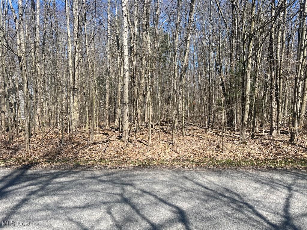 2107 N Park Ln, Roaming Shores, OH 44084 - photo 1