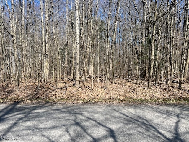 2107 N Park Ln, Roaming Shores, OH 44084 - photo 1