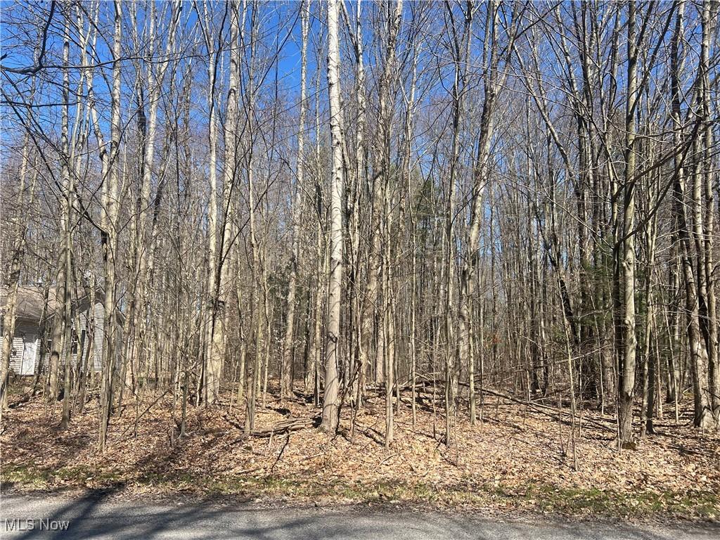 2107 N Park Ln, Roaming Shores, OH 44084 - photo 2