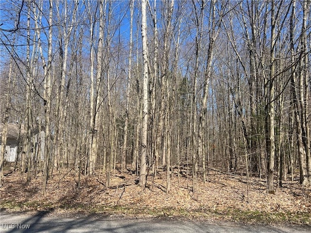 2107 N Park Ln, Roaming Shores, OH 44084 - photo 2