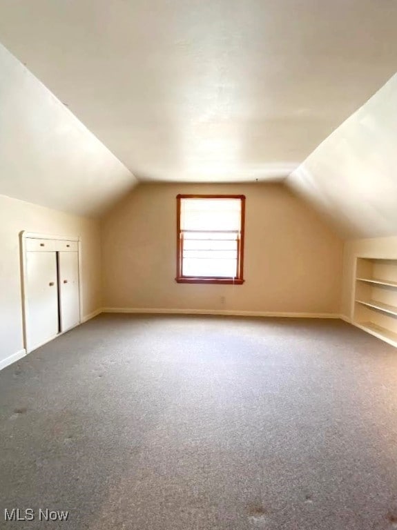 15613 Maplewood Ave, Maple Heights, OH 44137 - additional living space with vaulted ceiling, carpet floors, and built in shelves