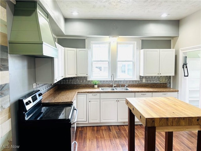 kitchen with electric range, a sink, custom range hood, and backsplash