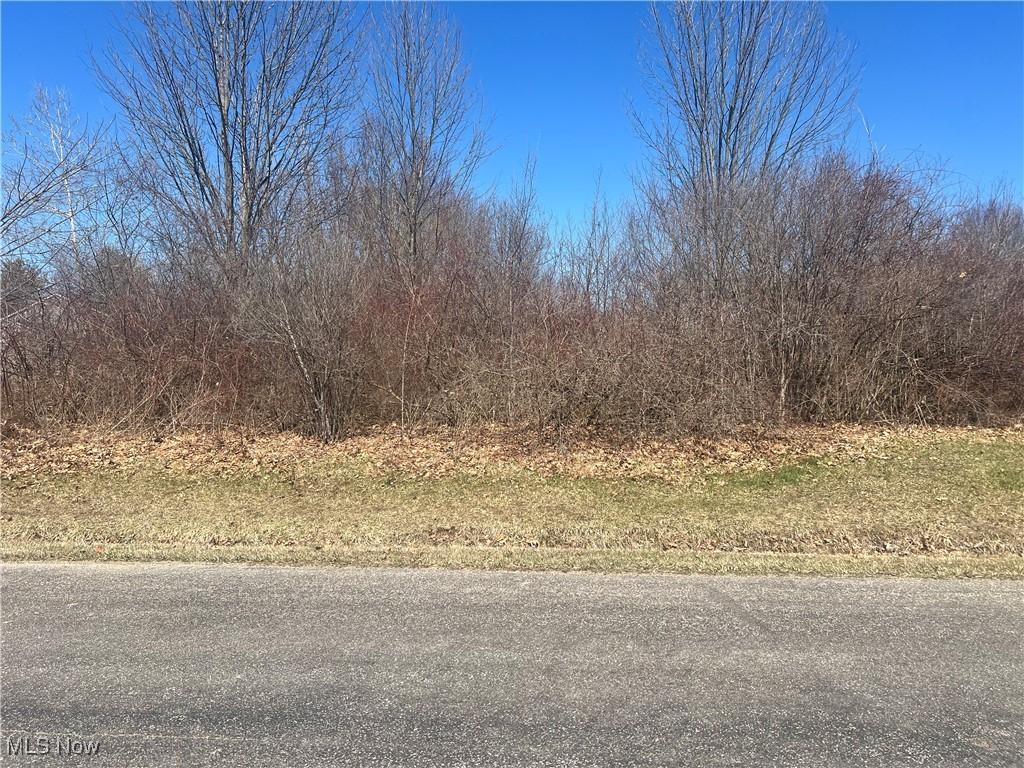 2488 Tupelo Dr, Roaming Shores, OH 44084 - photo 1