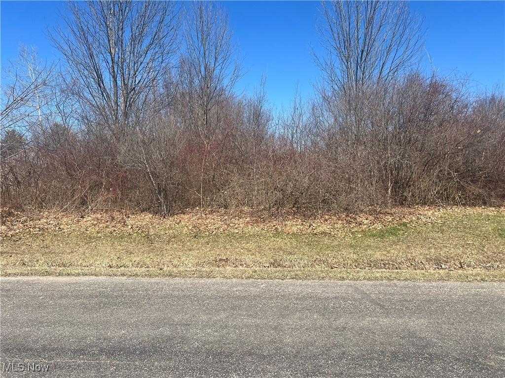 2488 Tupelo Dr, Roaming Shores, OH 44084 - photo 2
