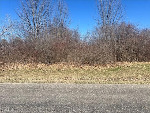 2488 Tupelo Dr, Roaming Shores, OH 44084 - photo 2