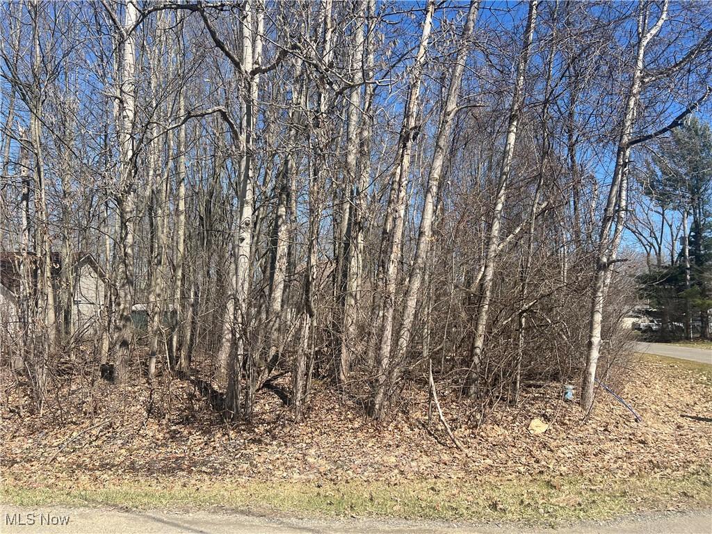 2455 Plum Crk, Roaming Shores, OH 44084 - photo 1