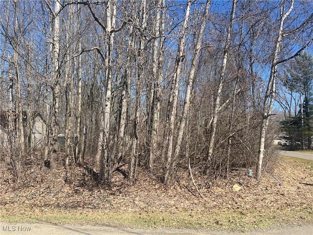 2455 Plum Crk, Roaming Shores, OH 44084 - photo 1