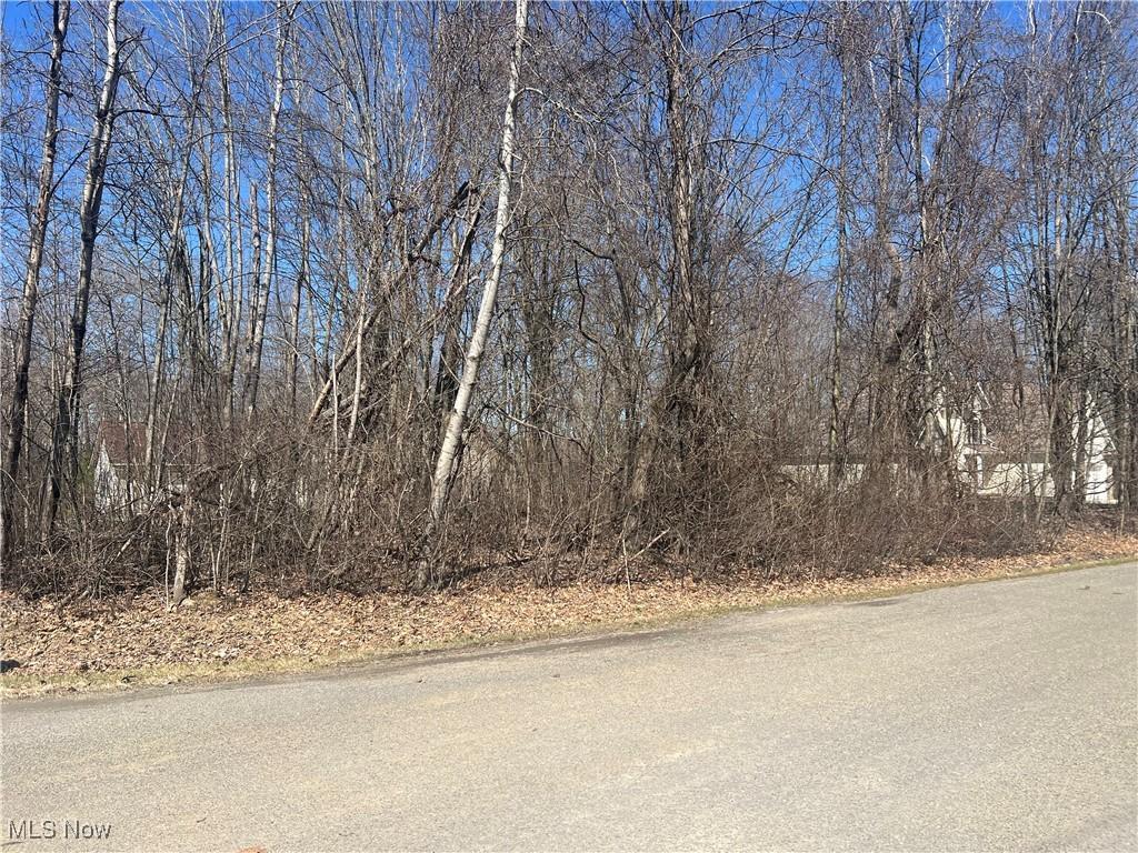 2455 Plum Crk, Roaming Shores, OH 44084 - photo 2