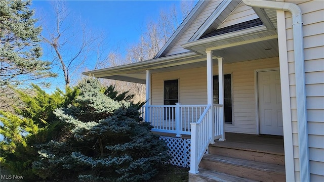 11466 Bloom Rd, Garrettsville, OH 44231 - property entrance with covered porch