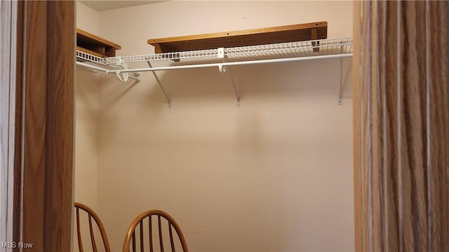 11466 Bloom Rd, Garrettsville, OH 44231 - view of walk in closet