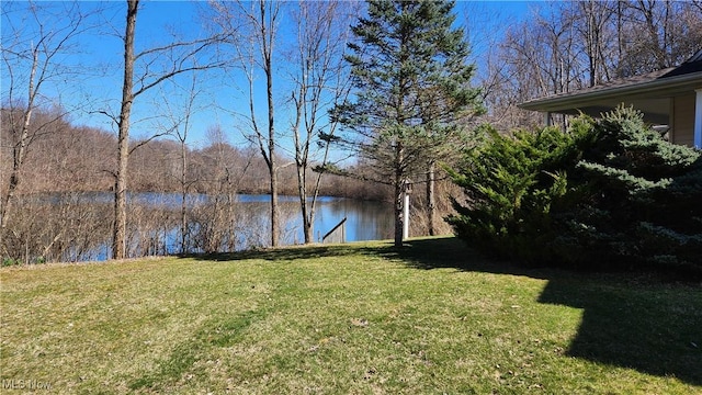 11466 Bloom Rd, Garrettsville, OH 44231 - water view
