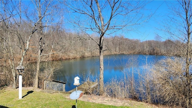 11466 Bloom Rd, Garrettsville, OH 44231 - dock area featuring a water view and a lawn